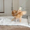 Toys For Cats - Interactive Cat Teaser Stick - Green - Image 9