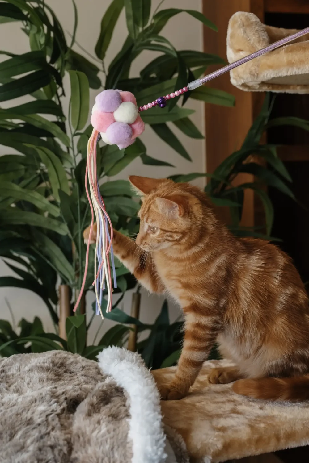 Toys For Cats - Interactive Cat Teaser Stick - Purple - Image 5