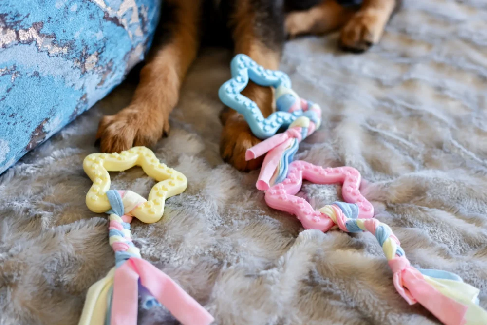 Chew Toys For Dogs - Teethers Delight - Stars With Rope - Image 5