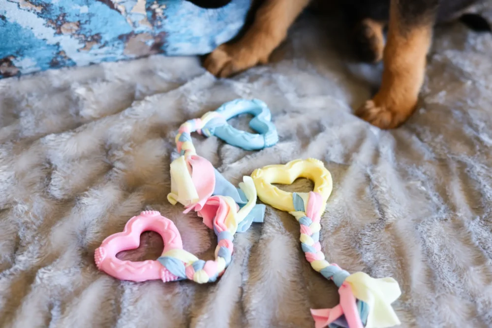 Chew Toys For Dogs - Teethers Delight - Hearts With Rope - Image 6