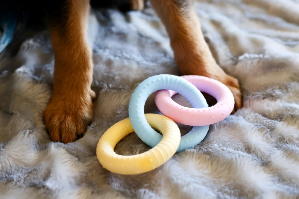 Chew Toys For Dogs - Teethers Delight - Rings - Image 4