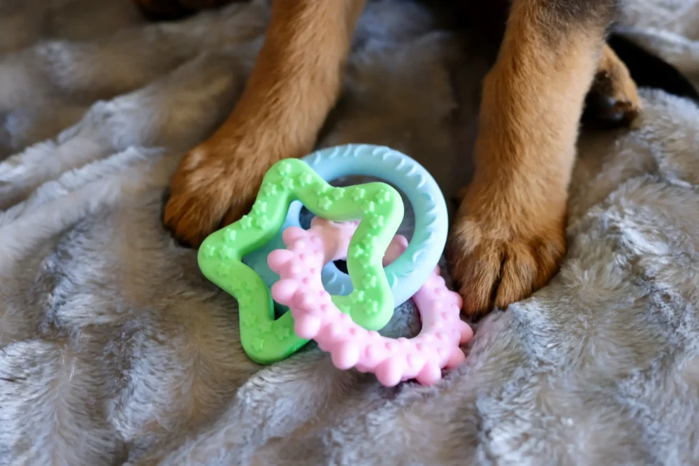 Chew Toys For Dogs - Teethers Delight - Sun, Moon & Stars - Image 3