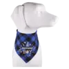 Dog Bandana – Happy Birthday Blue - Image 3