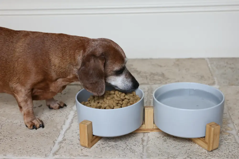 Dog Ceramic Pet Bowls With Bamboo Stand – Grey - Image 7