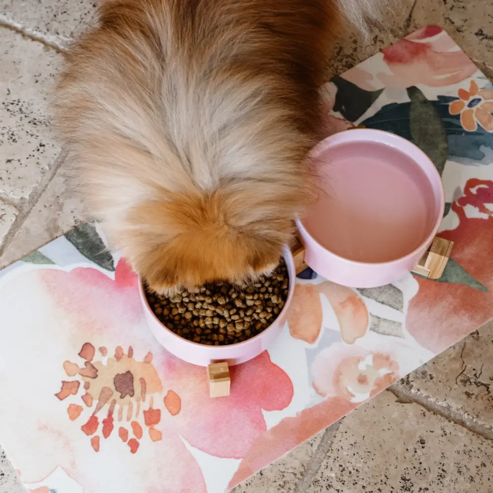 Dog Ceramic Pet Bowls With Bamboo Stand – Pink - Image 6