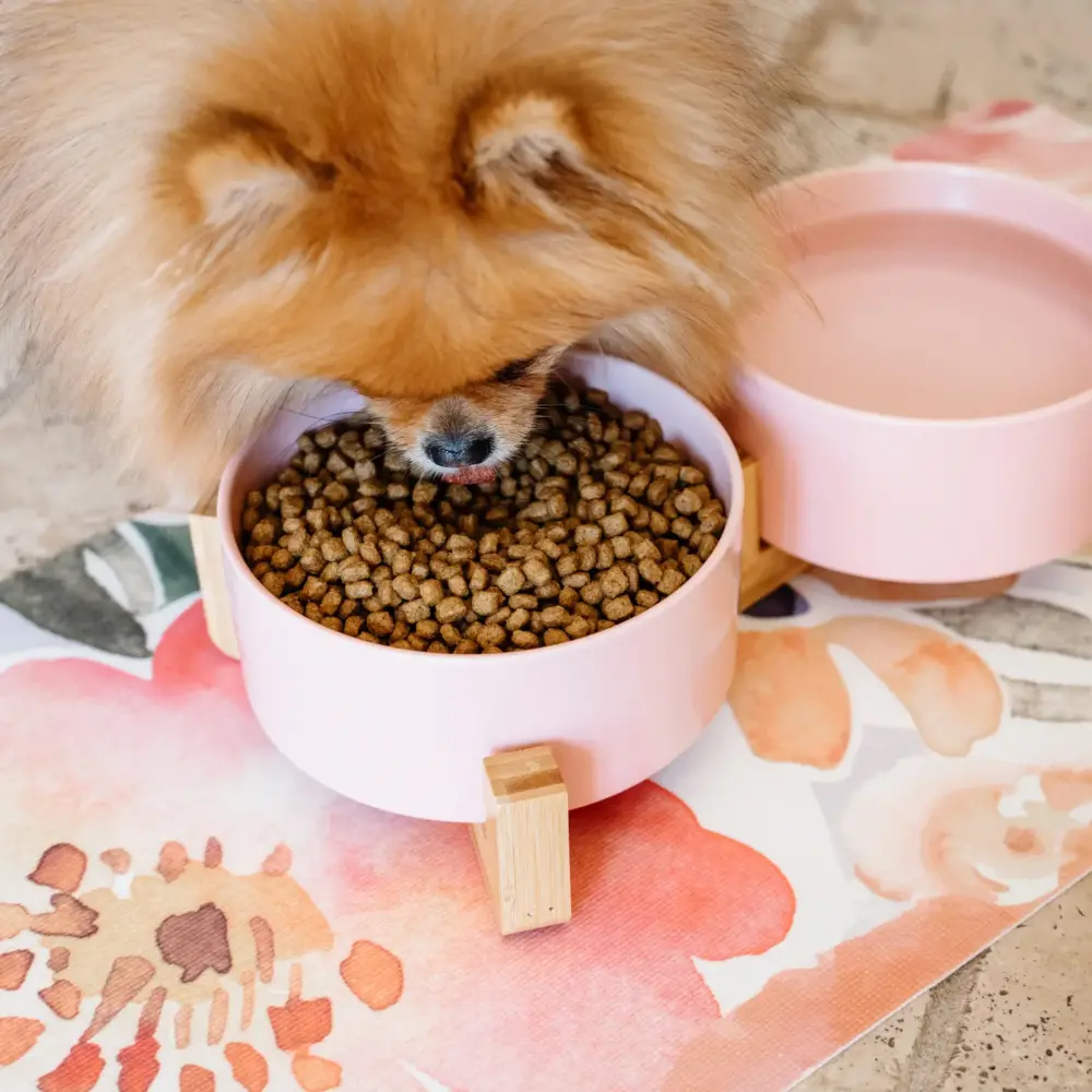 Dog Ceramic Pet Bowls With Bamboo Stand – Pink - Image 7