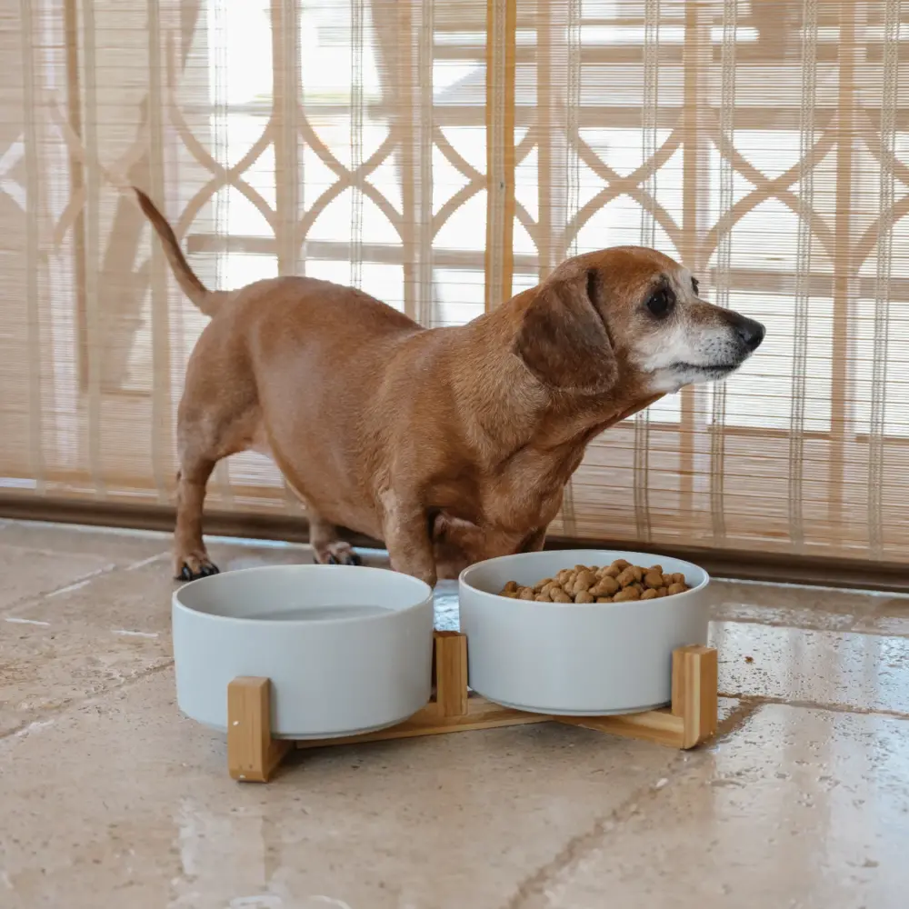 Dog Ceramic Pet Bowls With Bamboo Stand – Grey - Image 4