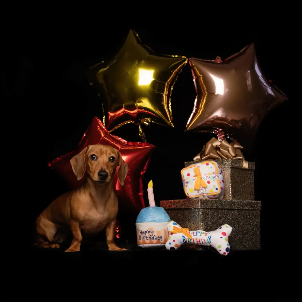 Plush Toys For Dogs – Birthday Collection – Birthday Pupcake - Image 4