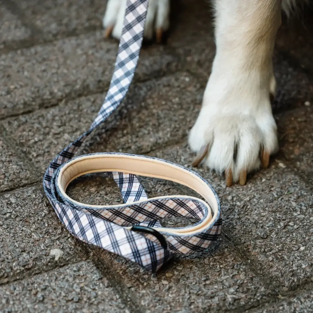 Fabric Leash – Plaids (Medium) - Image 6