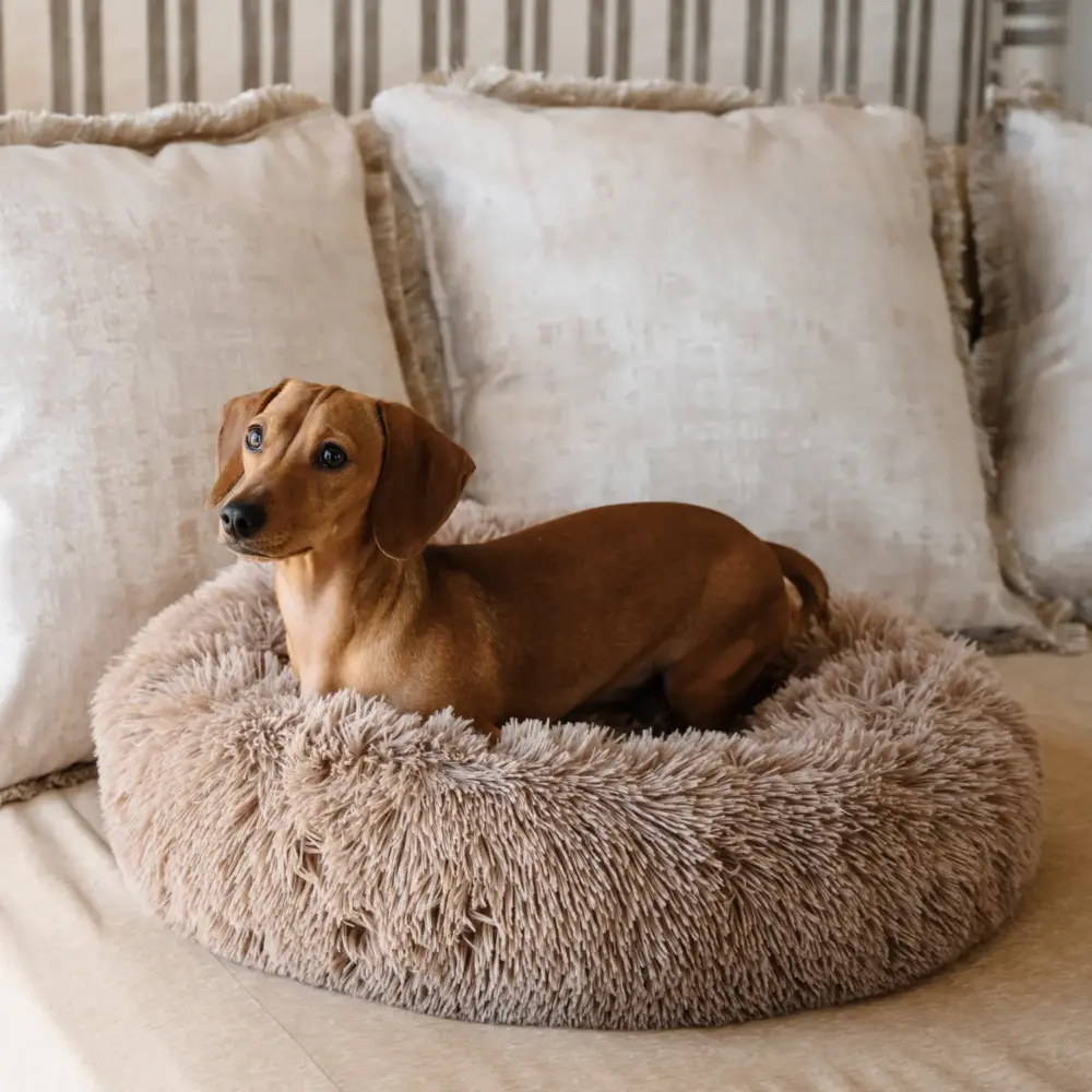 Dog Plush Calming Pet Bed – Cappuccino - Image 6