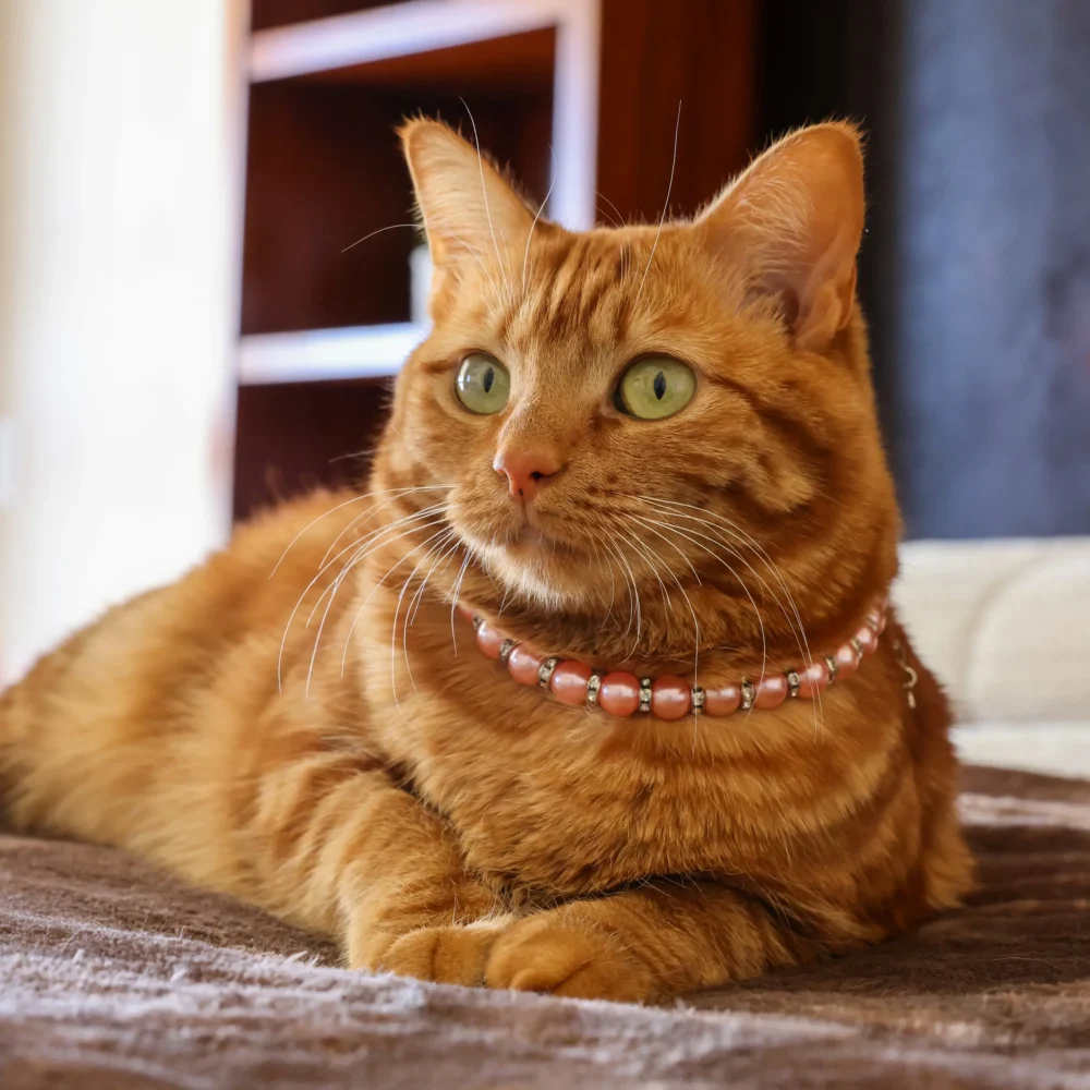 Cat Pearl Necklace - Coral - Image 2