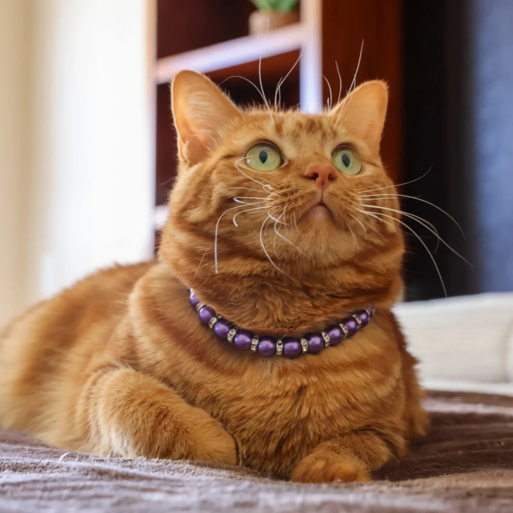 Cat Pearl Necklace - Purple - Image 3