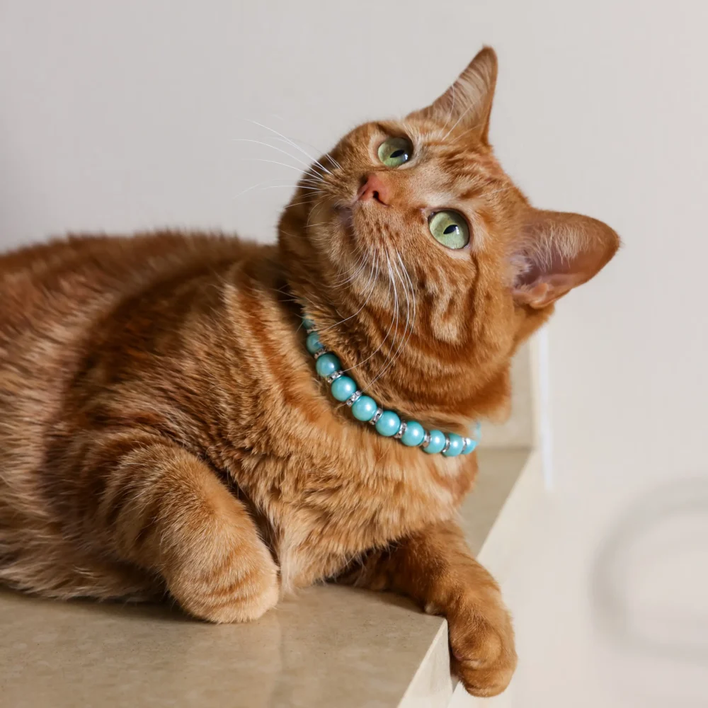 Cat Pearl Necklace - Turquoise - Image 3