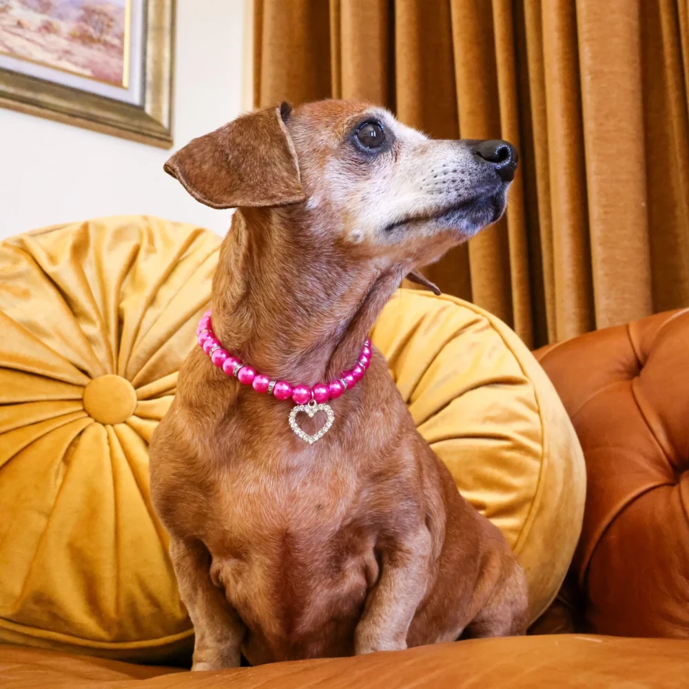 Dog Pearl Necklace With Heart Pendant - Dark Pink - Image 4