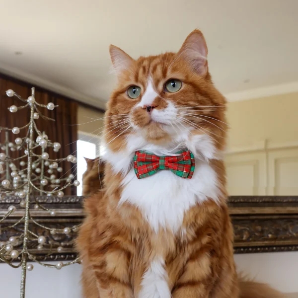 Cat Collar – Plaid – Red and Green – Bow Tie LS (1)