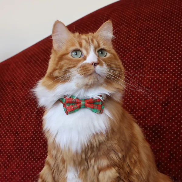 Cat Collar – Plaid – Red and Green – Bow Tie LS (2)