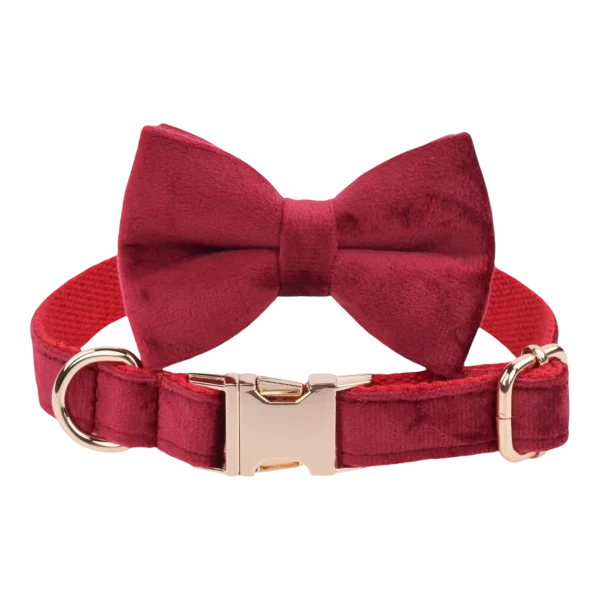 Dog Collar – Velvet - Burgundy – Bow Tie (1)