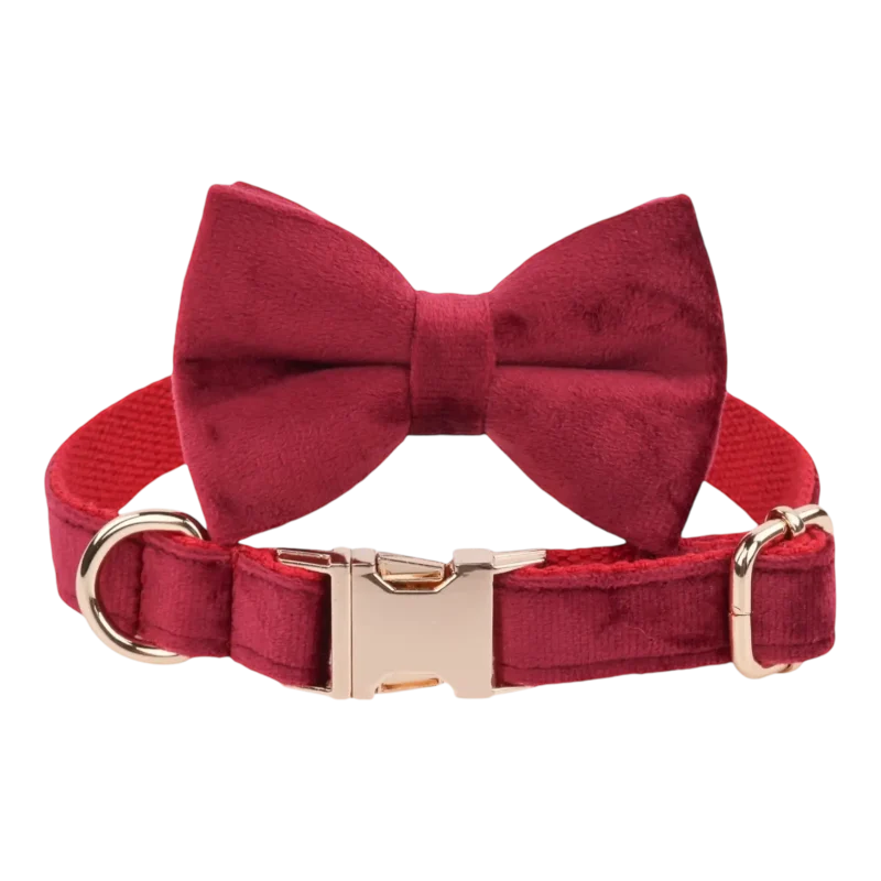 Dog Collar – Velvet - Burgundy – Bow Tie (1)