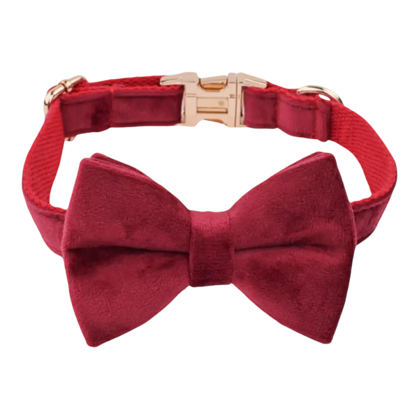 Dog Collar – Velvet - Burgundy – Bow Tie (2)