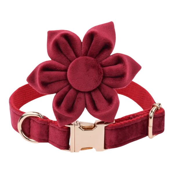 Dog Collar – Velvet - Burgundy – Flower (1)