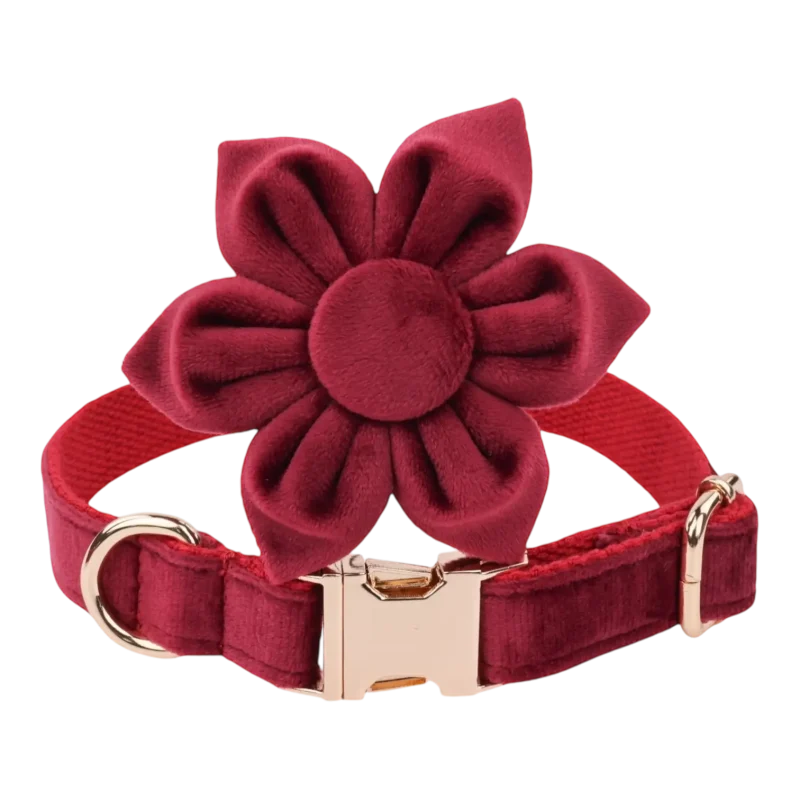 Dog Collar – Velvet - Burgundy – Flower (1)