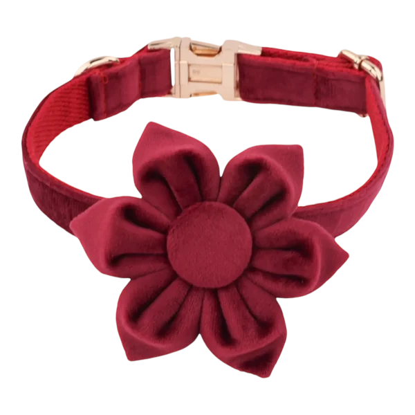 Dog Collar – Velvet - Burgundy – Flower (2)