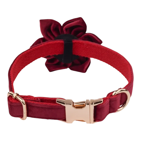 Dog Collar – Velvet - Burgundy – Flower (3)