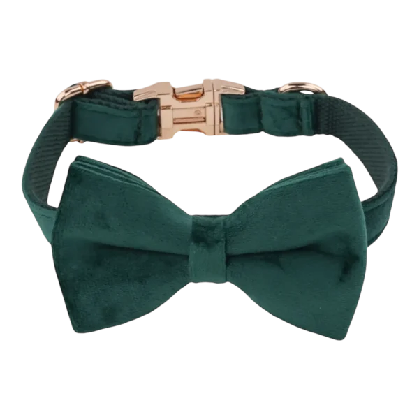 Dog Collar – Velvet - Emerald – Bow Tie (2)