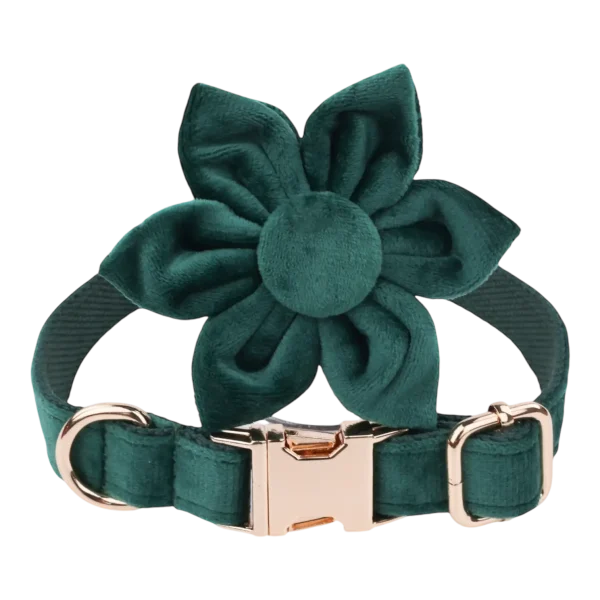 Dog Collar – Velvet - Emerald – Flower (1)