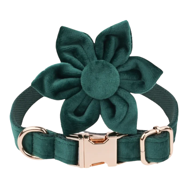 Dog Collar – Velvet - Emerald – Flower (1)