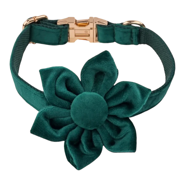 Dog Collar – Velvet - Emerald – Flower (2)