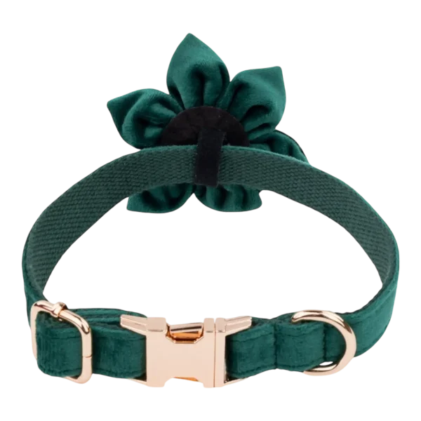 Dog Collar – Velvet - Emerald – Flower (3)