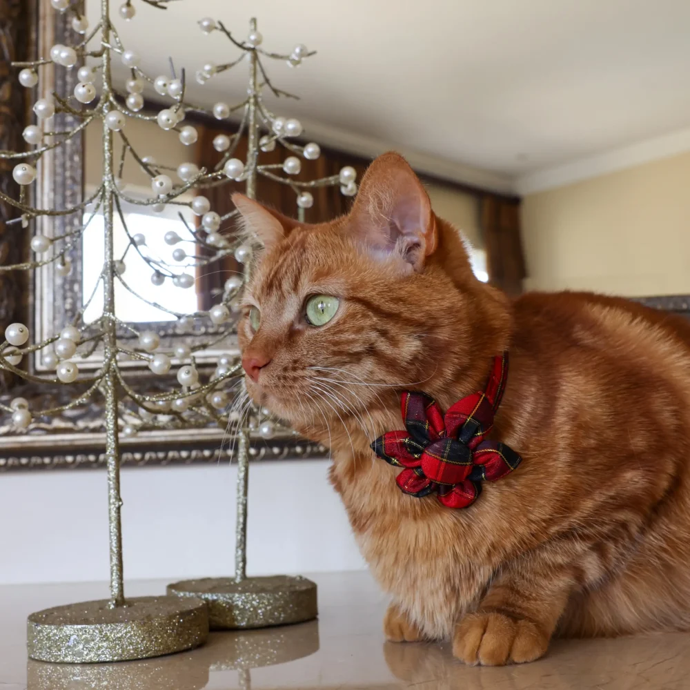 Cat Collar – Plaid – Red and Black – Flower - Image 4