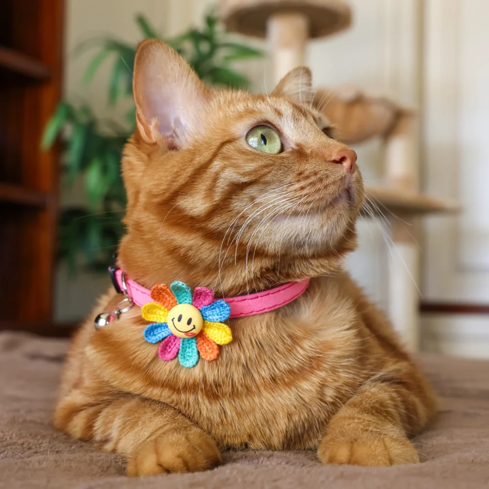 Cat Collar – Emoji – Pink - Image 3