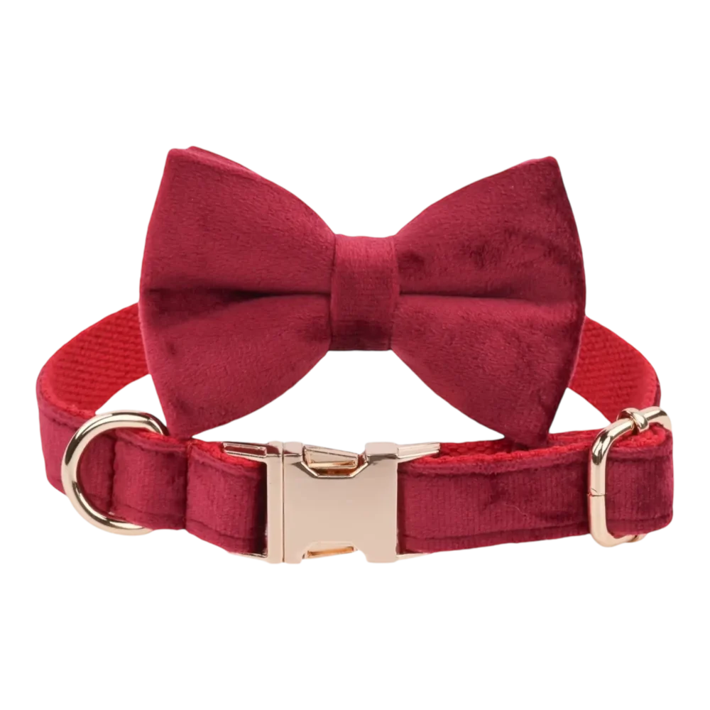 Dog Collar – Velvet - Burgundy – Bow Tie