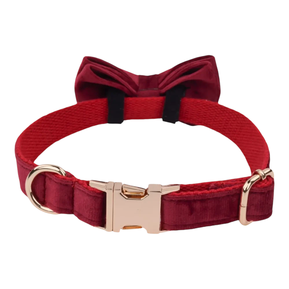 Dog Collar – Velvet - Burgundy – Bow Tie - Image 3