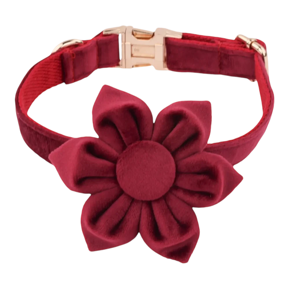 Dog Collar – Velvet - Burgundy – Flower - Image 2