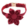 Dog Collar – Velvet - Burgundy – Flower - Image 2