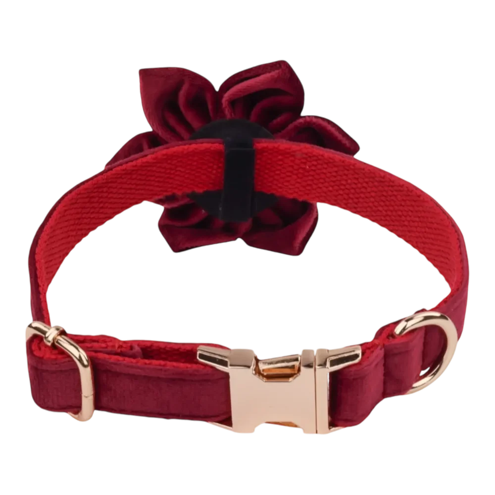 Dog Collar – Velvet - Burgundy – Flower - Image 3