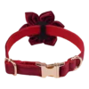 Dog Collar – Velvet - Burgundy – Flower - Image 3