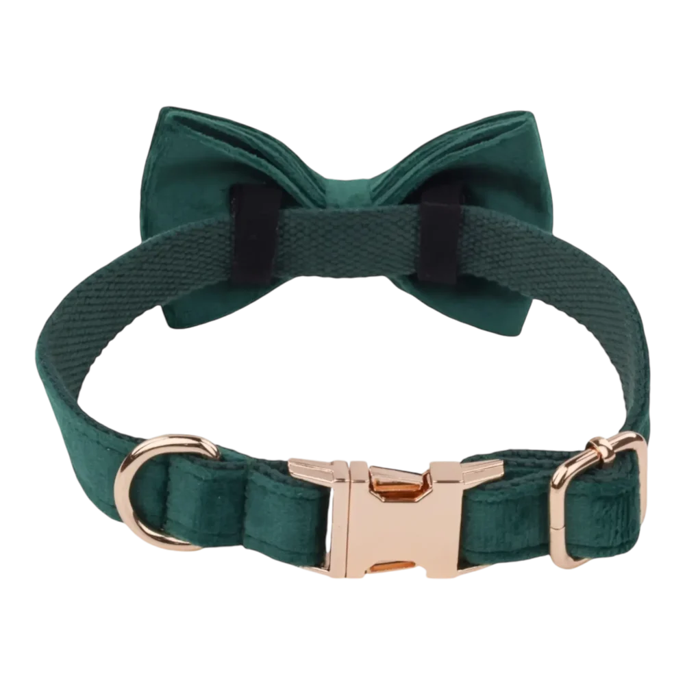 Dog Collar – Velvet - Emerald – Bow Tie - Image 3