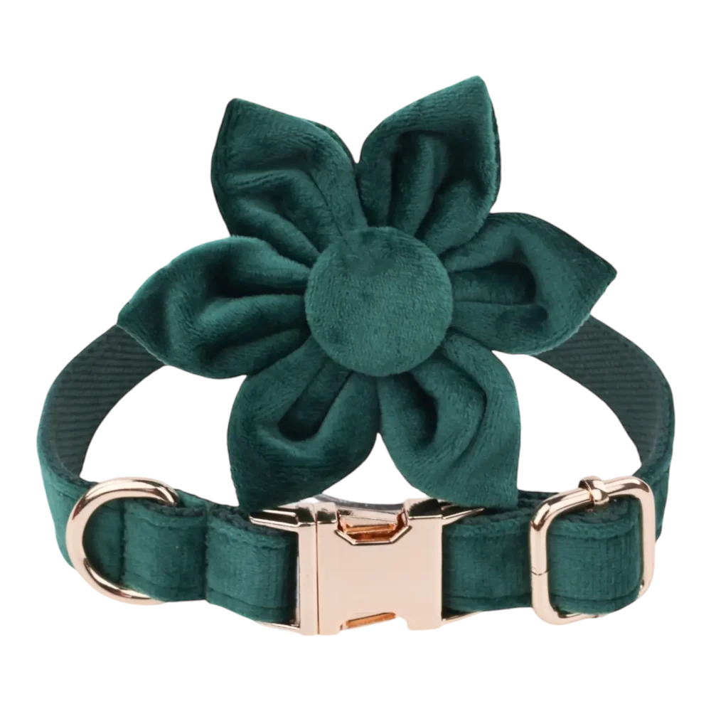 Dog Collar – Velvet - Emerald – Flower