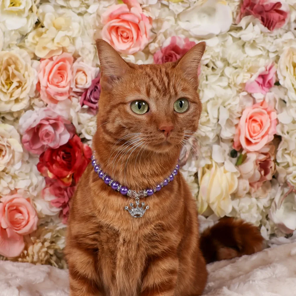 Cat Pearl Necklace With Crown Pendant - Purple - Image 3