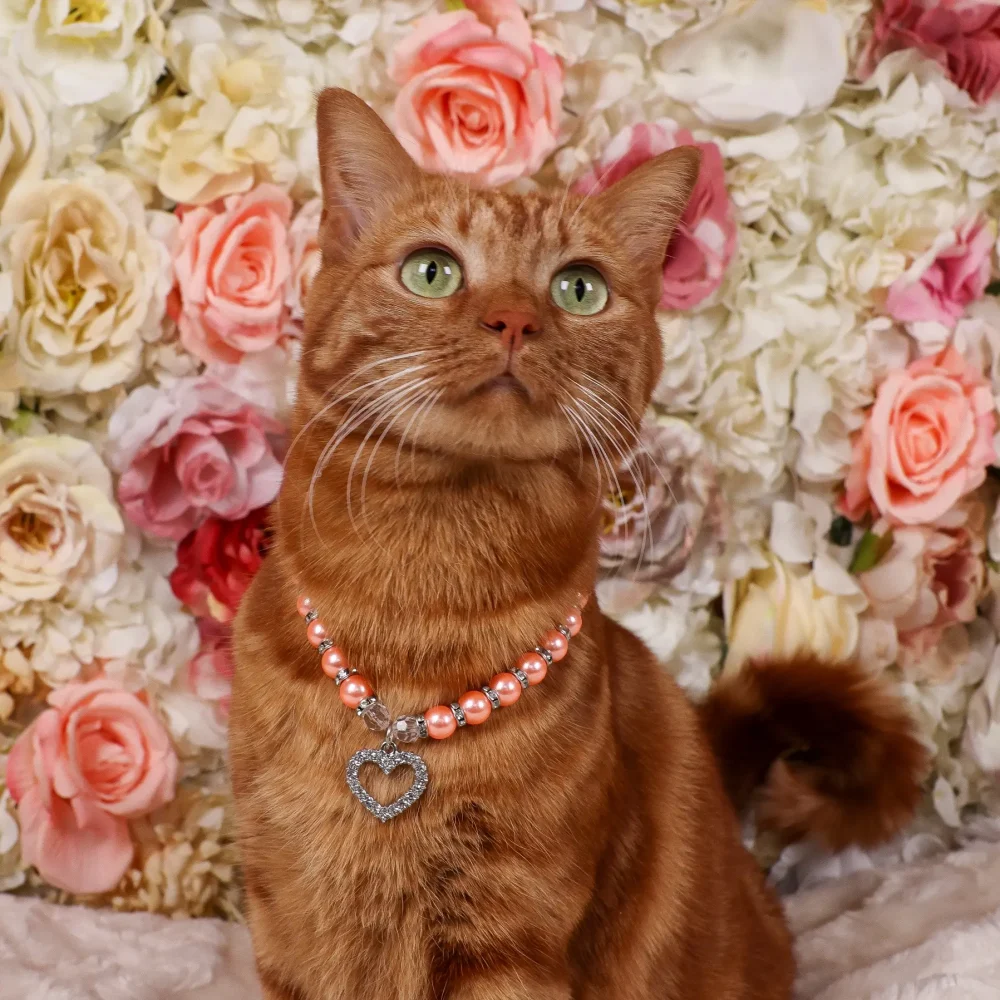 Cat Pearl Necklace With Heart Pendant - Coral - Image 3