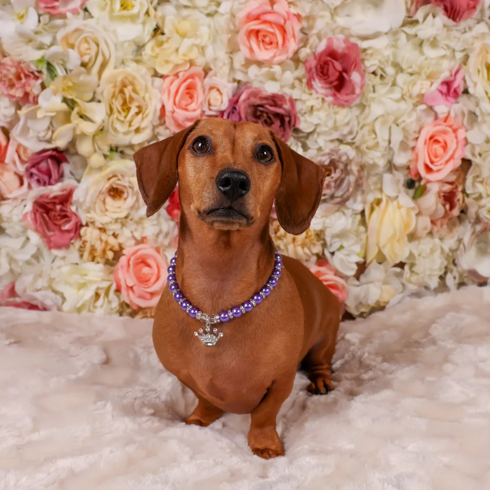 Dog Pearl Necklace With Crown Pendant - Purple - Image 3