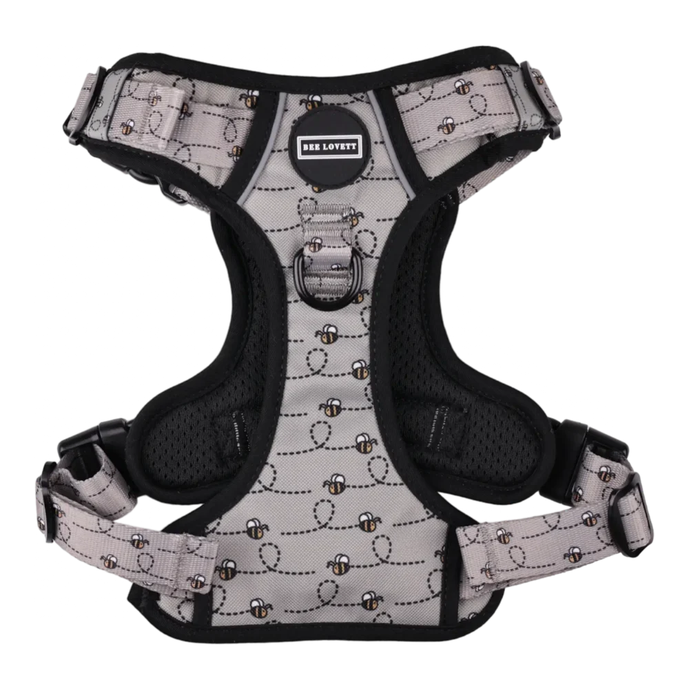 All-Rounder-Harness-Bee-You-Tiful