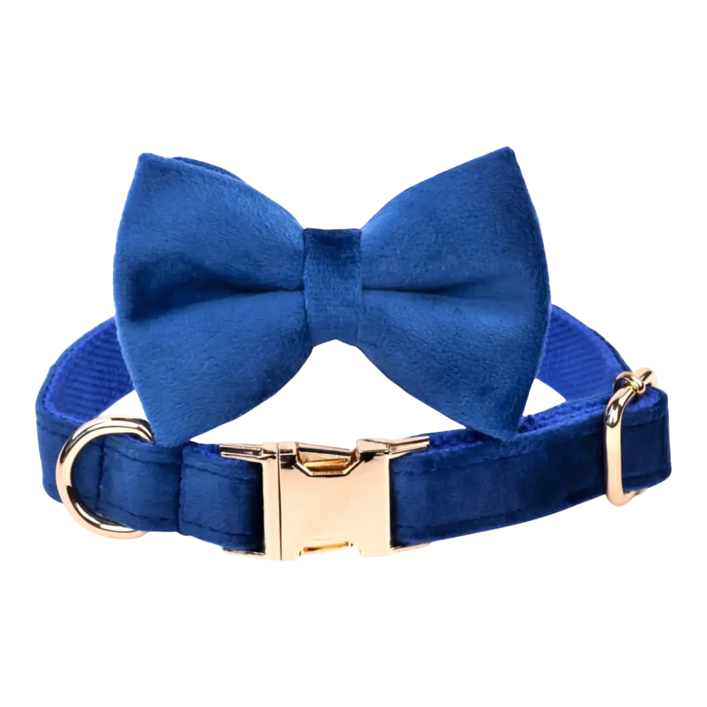 Dog Collar – Velvet - Royal Blue – Bow Tie