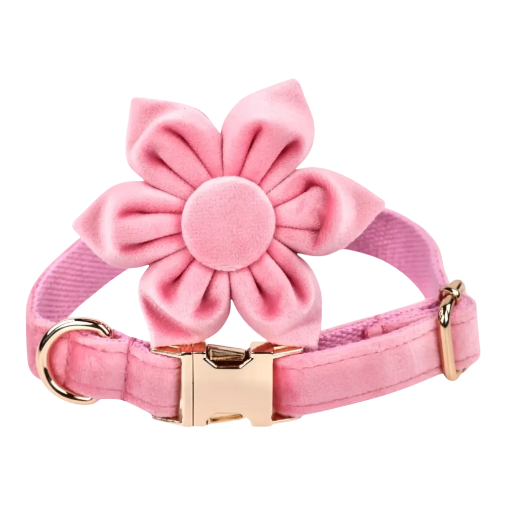 Dog Collar – Velvet - Pink – Flower