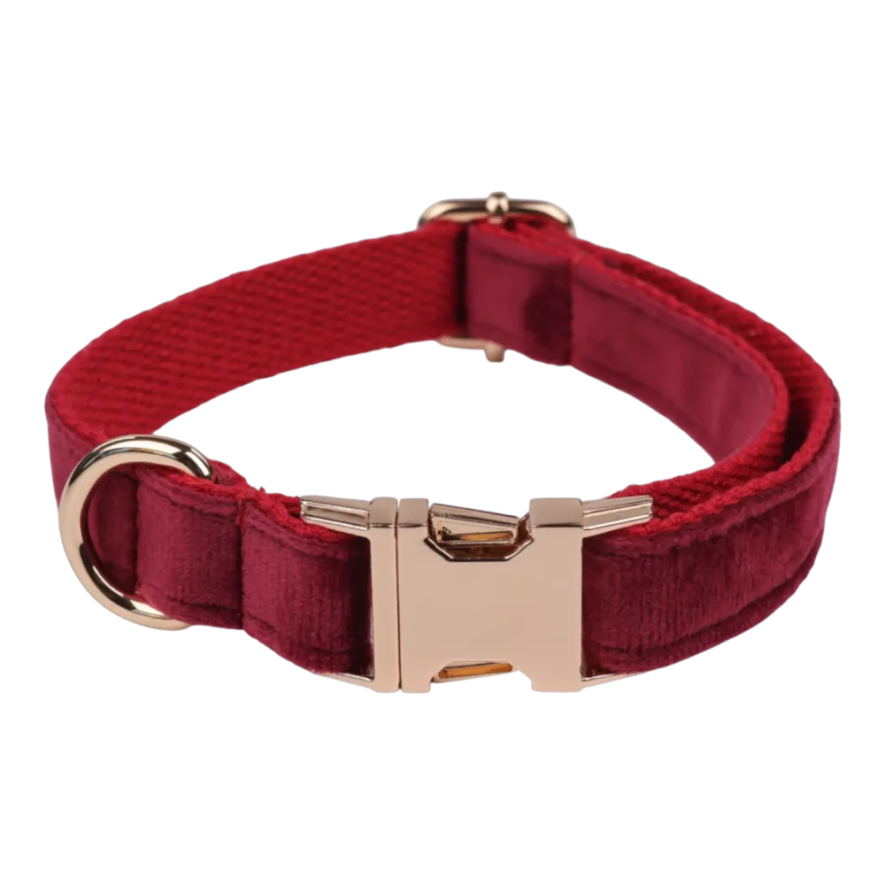 Dog Collar – Velvet - Burgundy