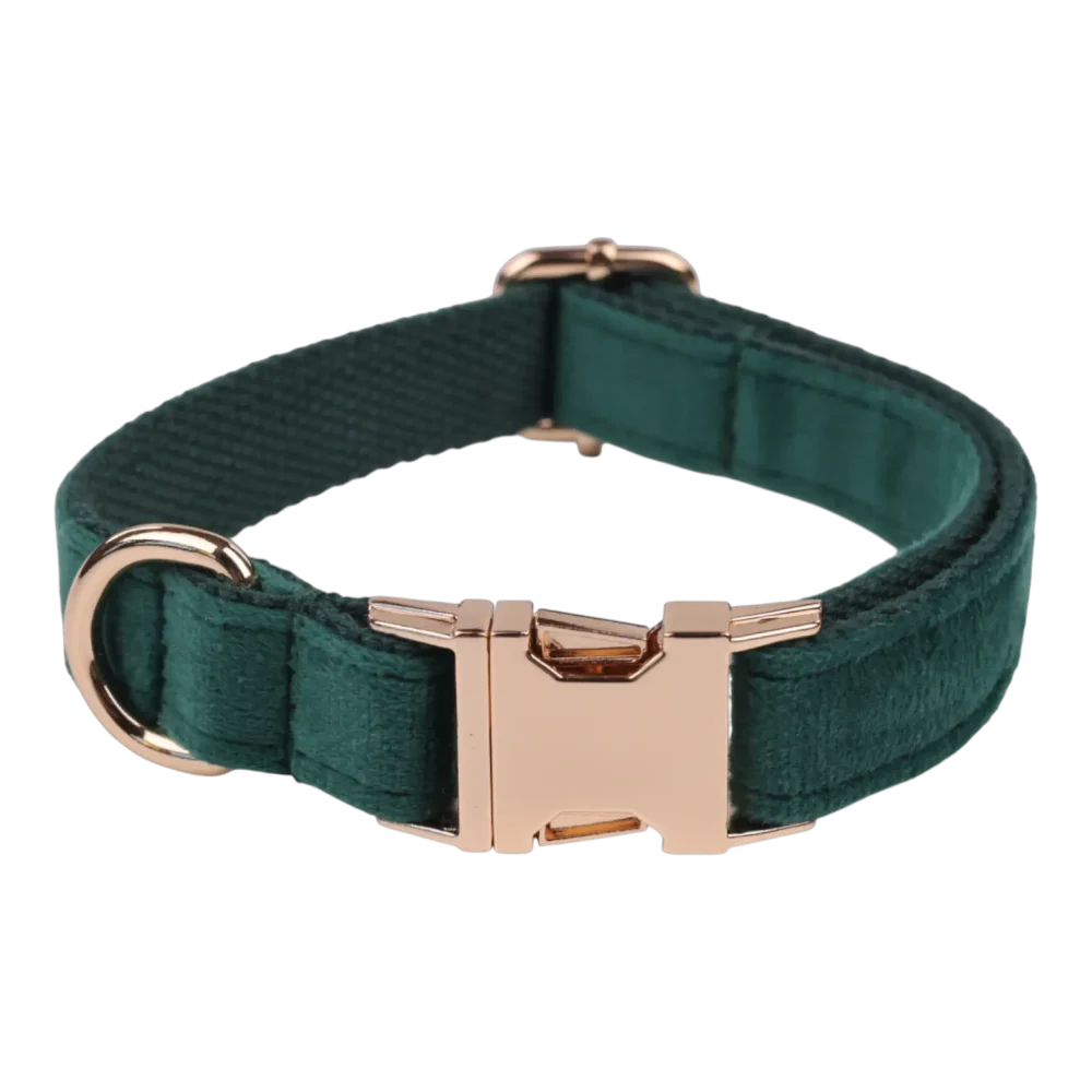 Dog Collar – Velvet - Emerald